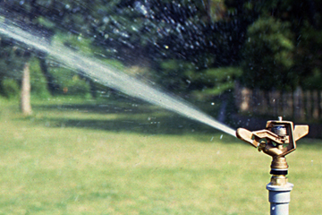 ������ǰ �̹���